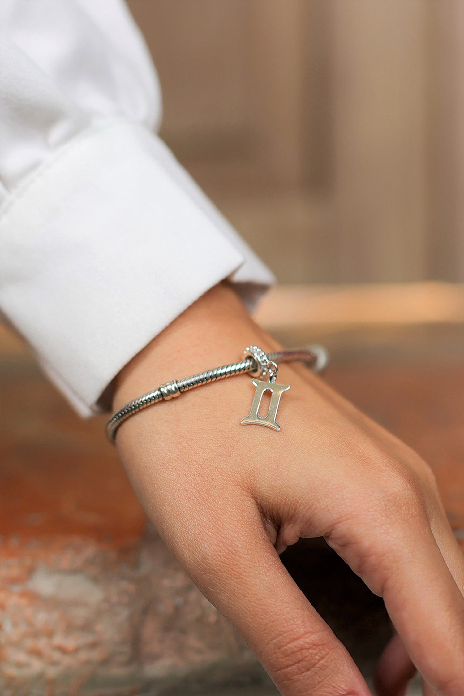Horoscope pandora charm