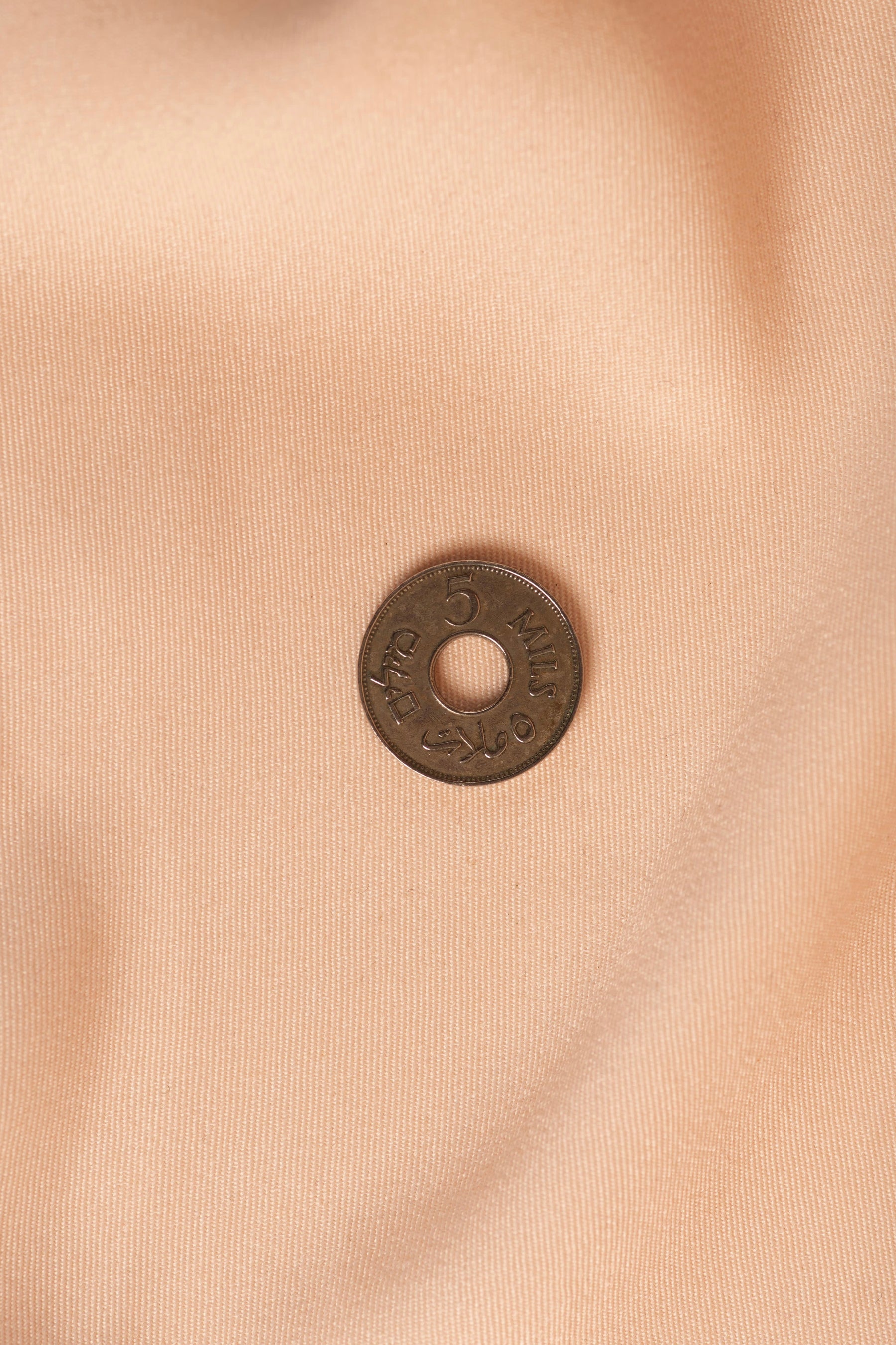 Palestinian Coin 5mil