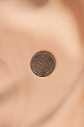 Palestinian Coin 50mil