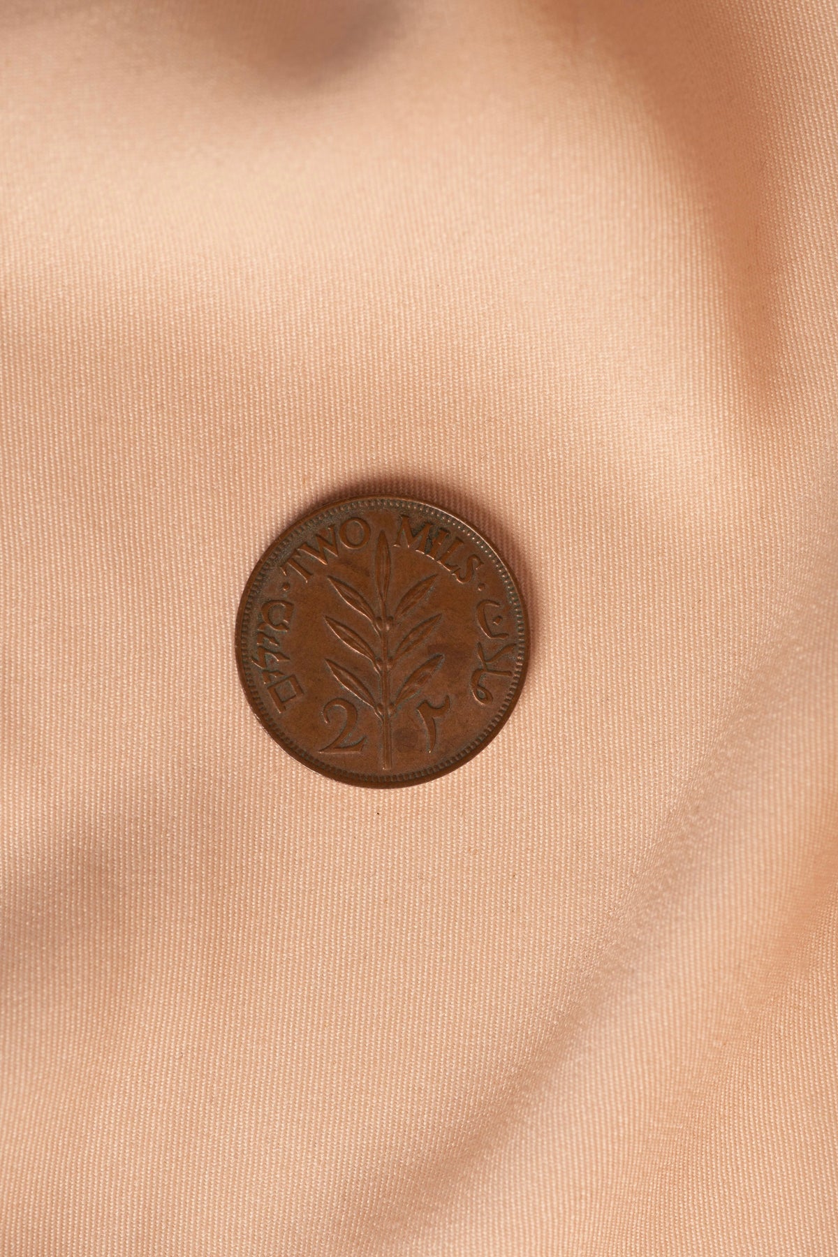 Palestinian Coin 2mil