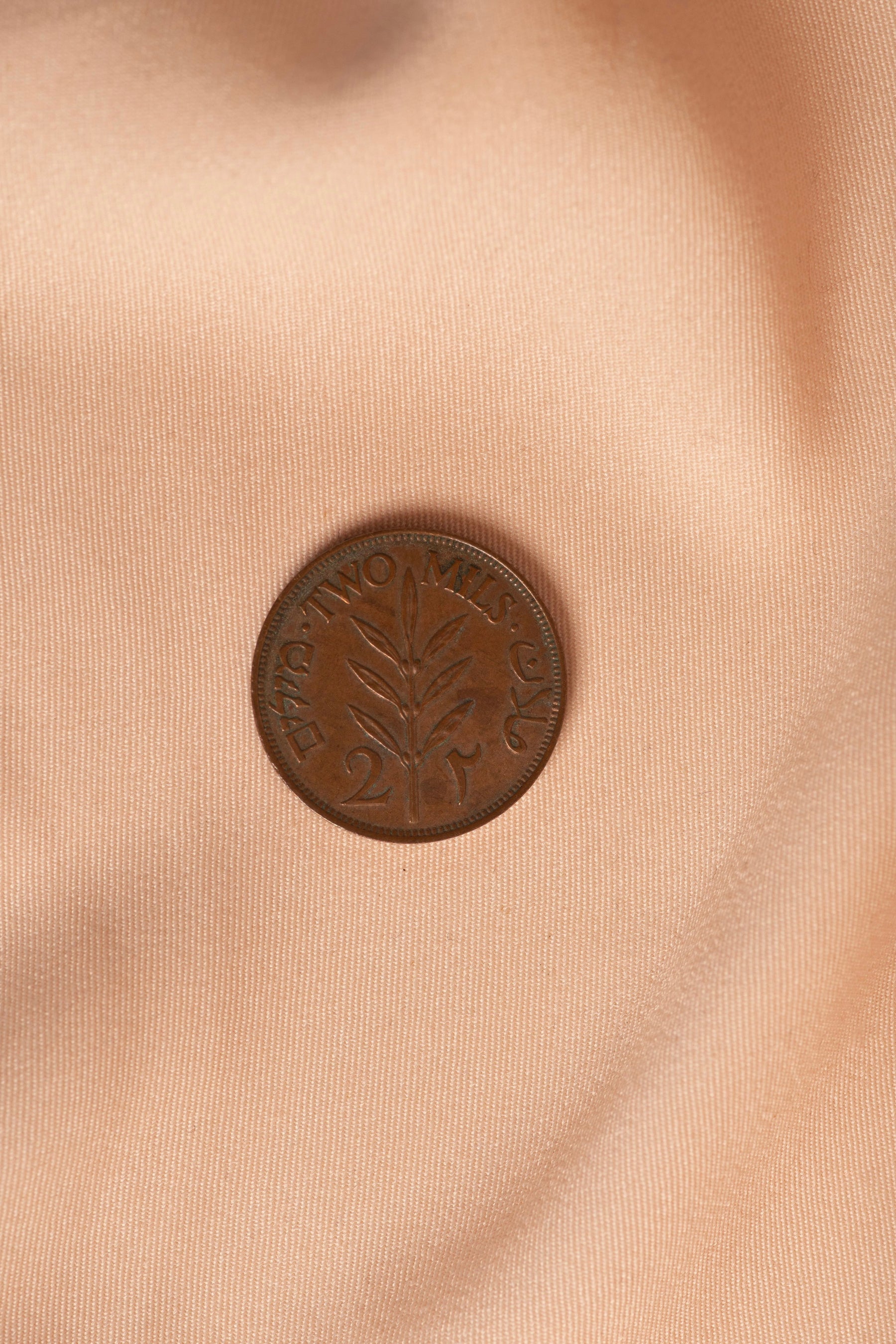 Palestinian Coin 2mil
