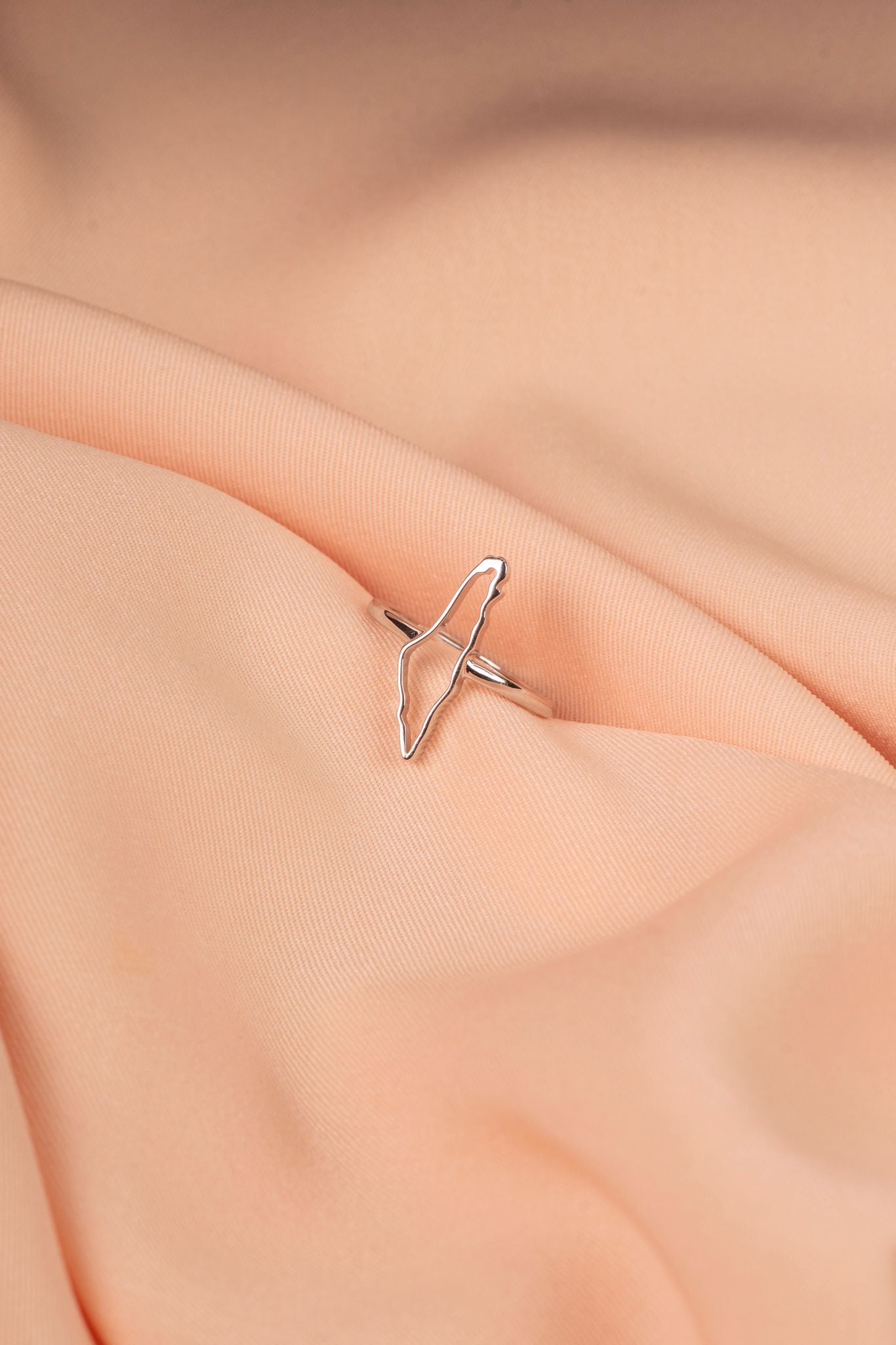 Palestine map frame ring