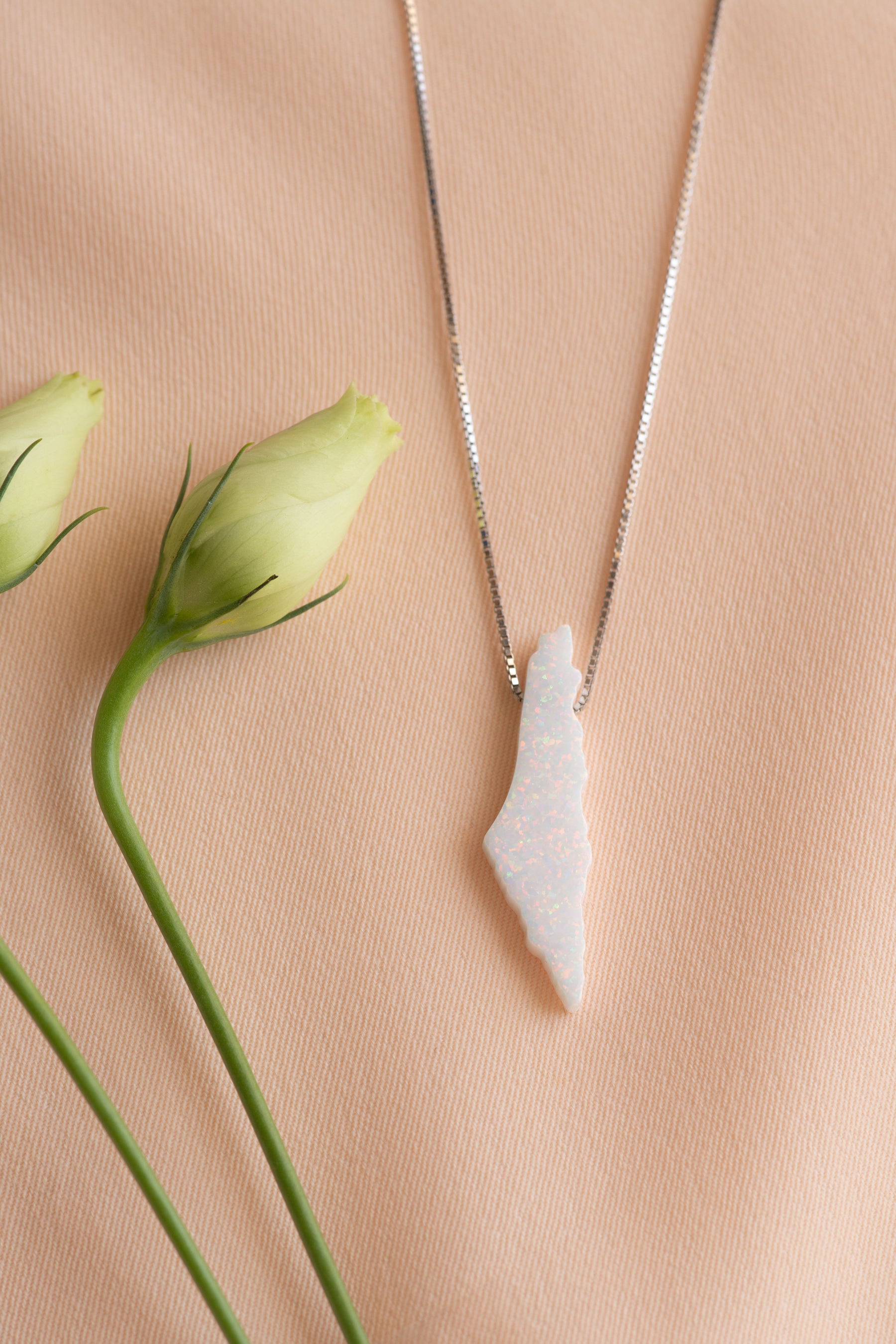 Opal Palestine map necklace