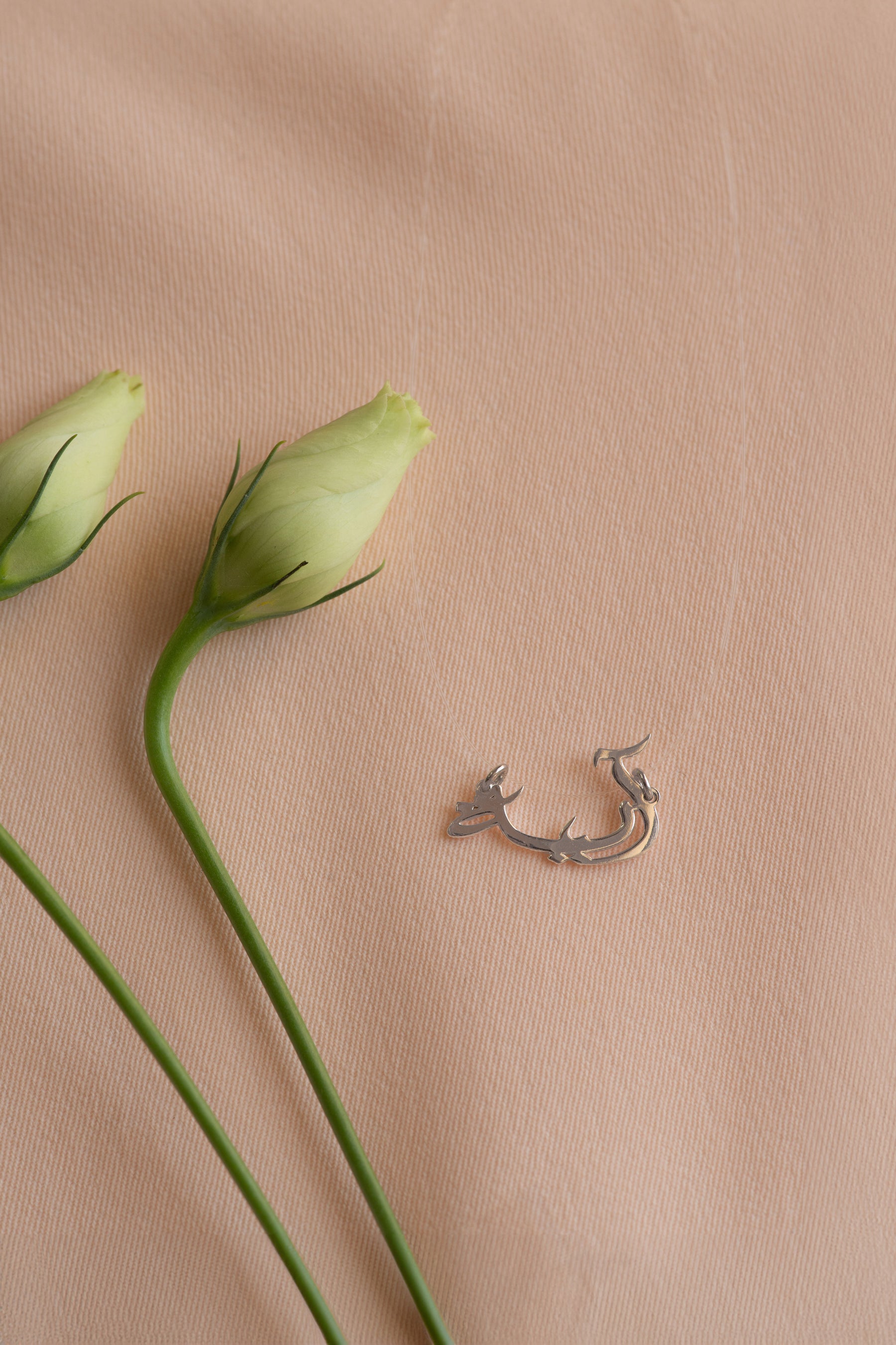 Custom name necklace with transparent chain