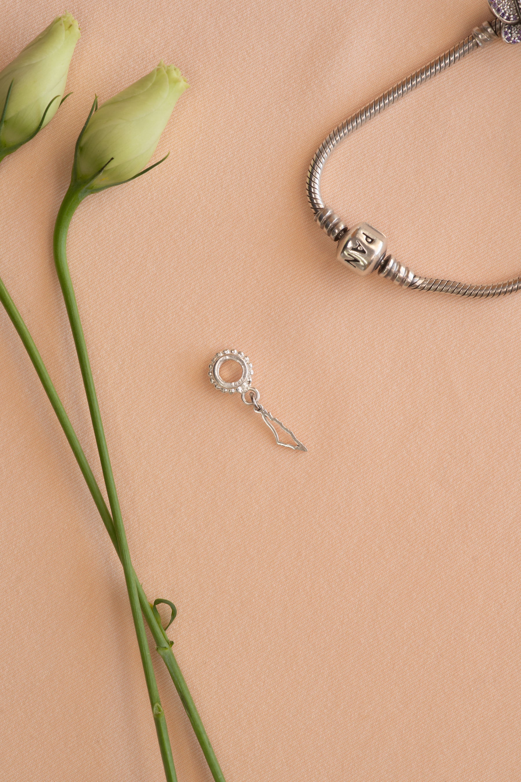 Palestine map frame pandora charm
