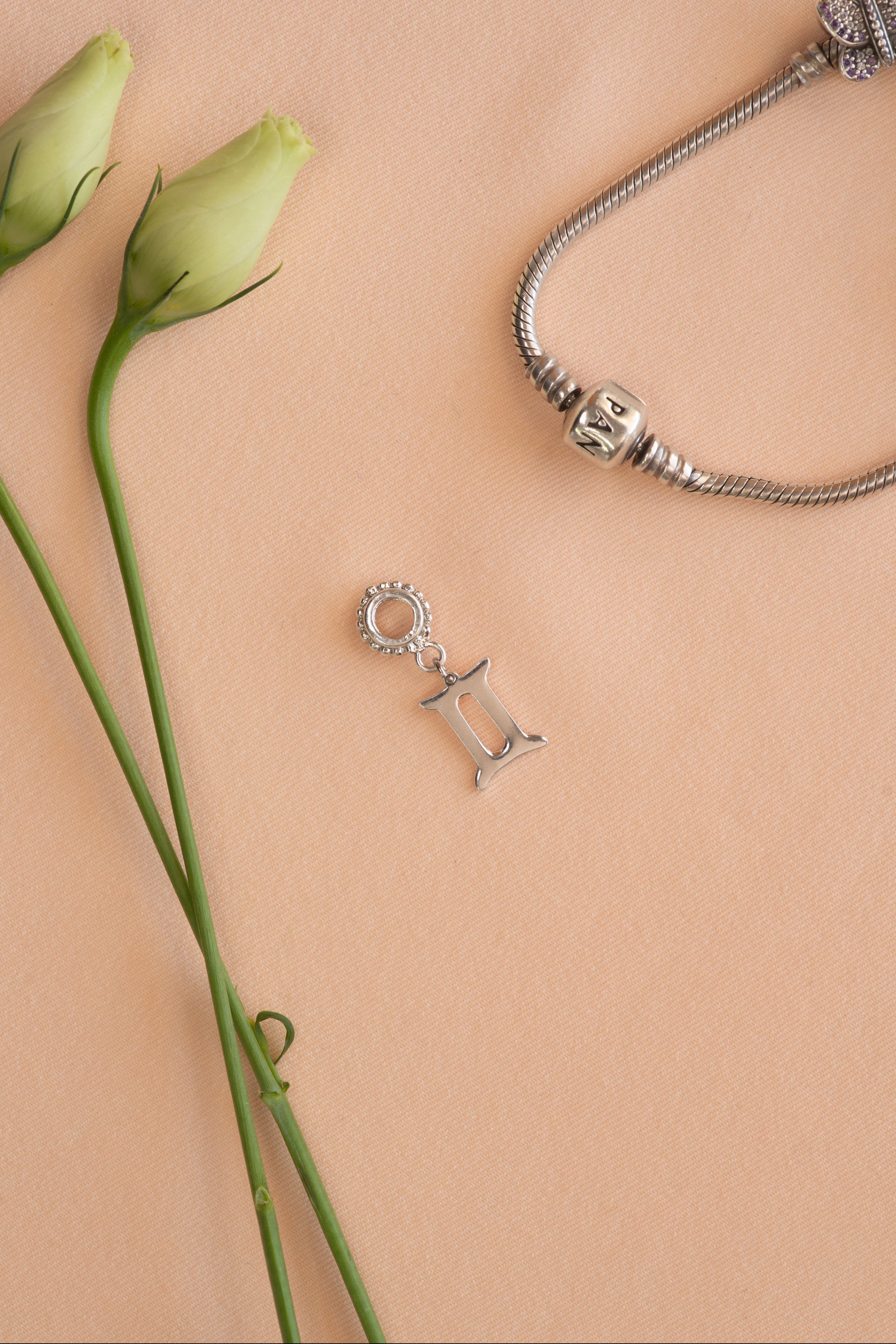 Horoscope pandora charm