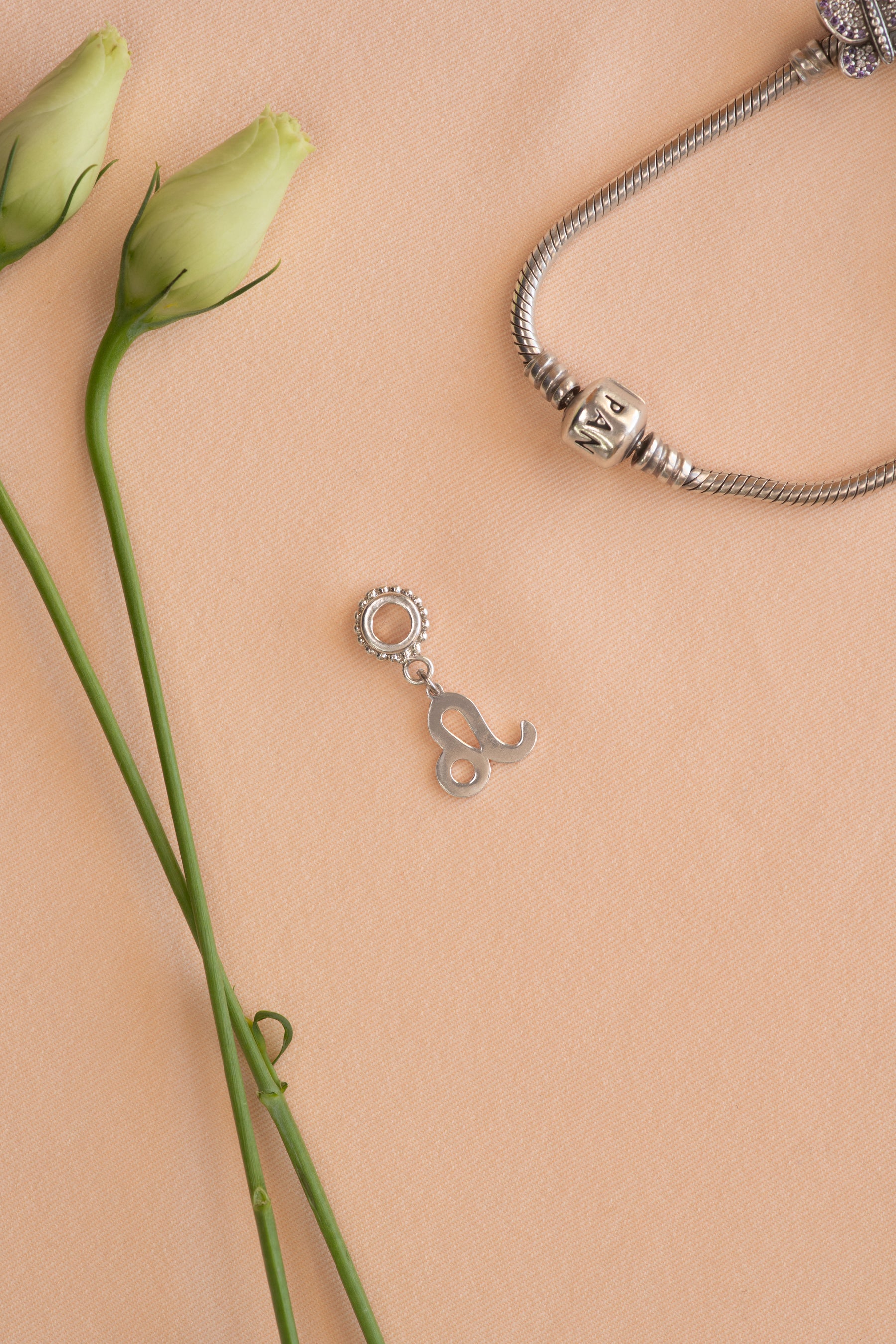 Horoscope pandora charm