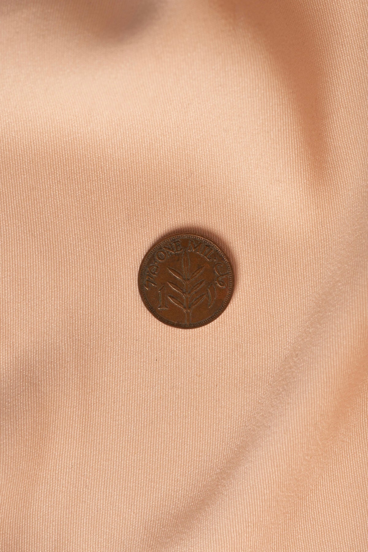 Palestinian Coin 1mil