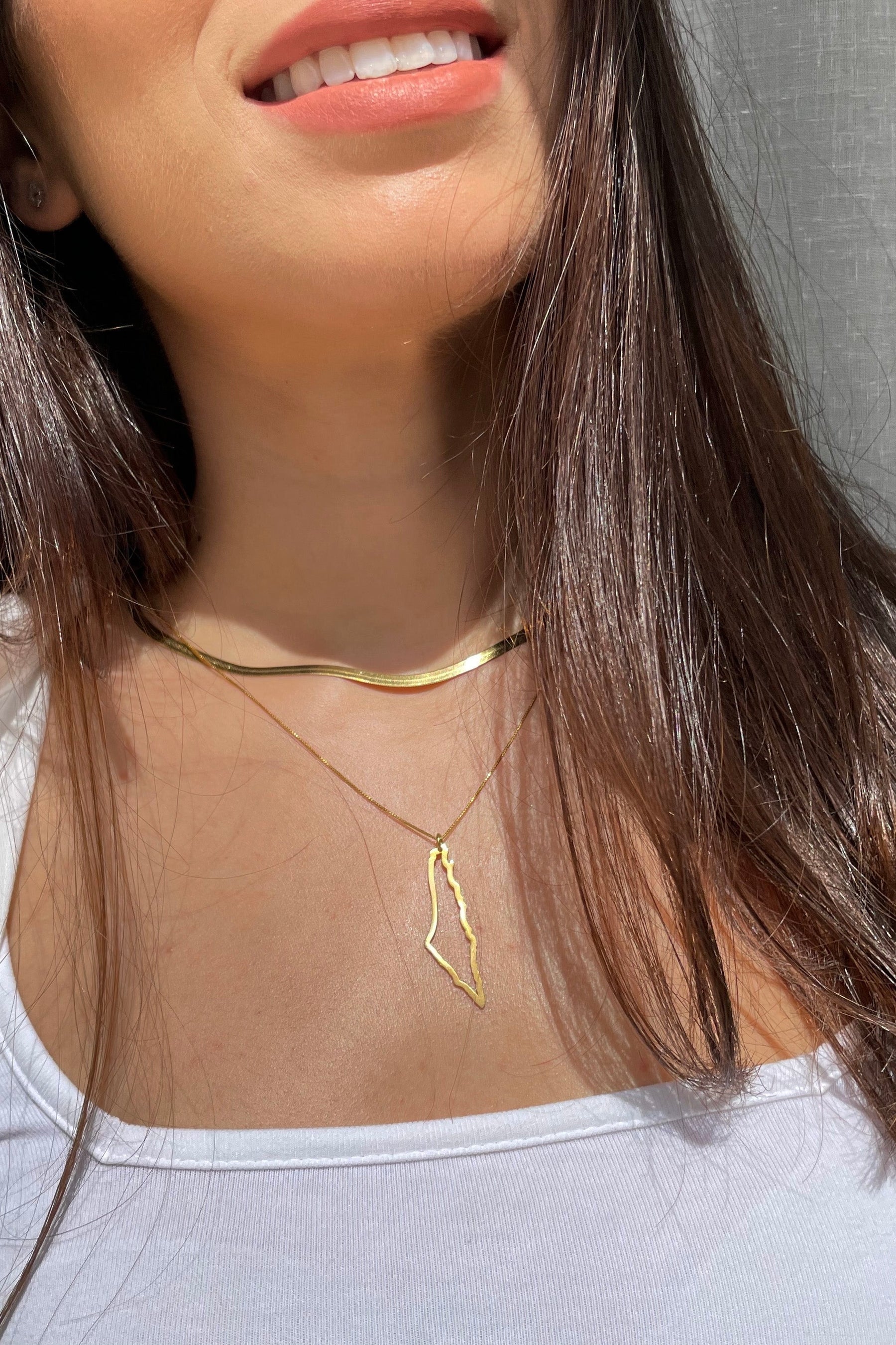 Snake chain with map frame necklace