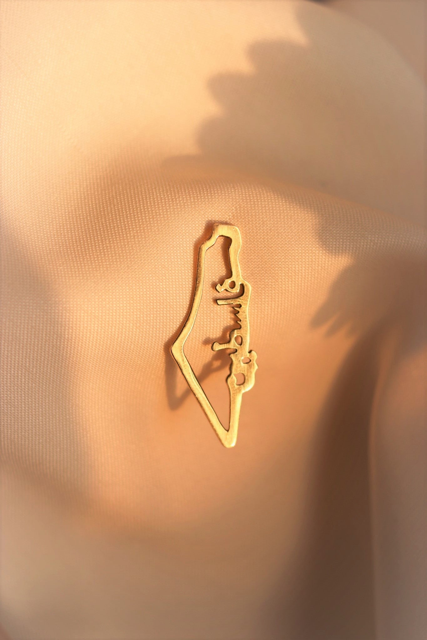 Palestine map with vertical Palestine Arabic word pin