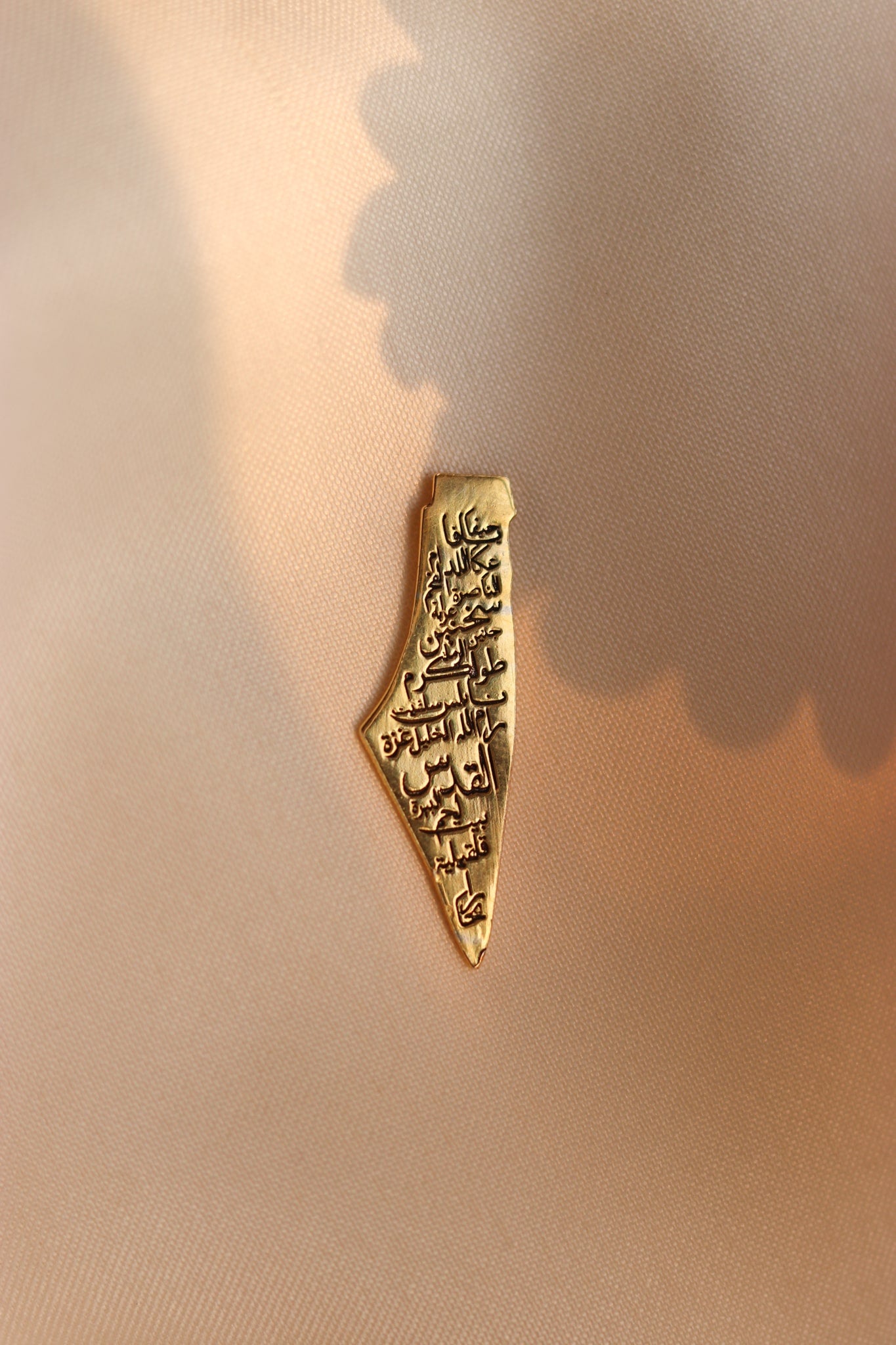 Palestine map with cities engraved inside pin
