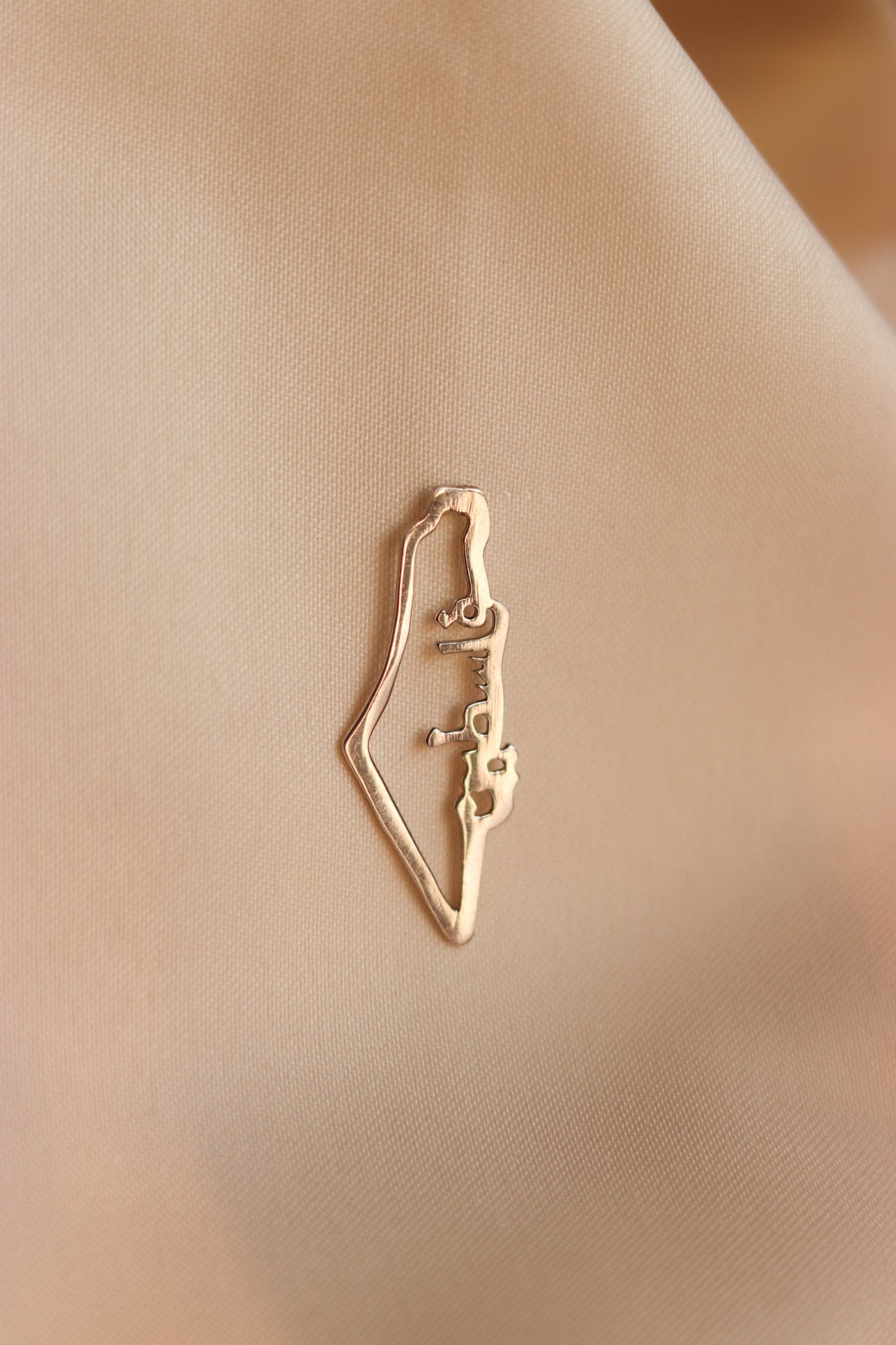 Palestine map with vertical Palestine Arabic word pin