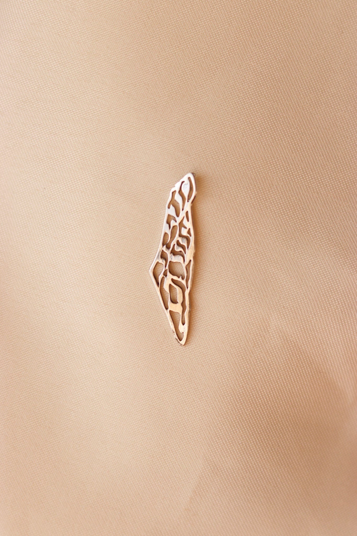 Palestine map with olive leaves pattern pin
