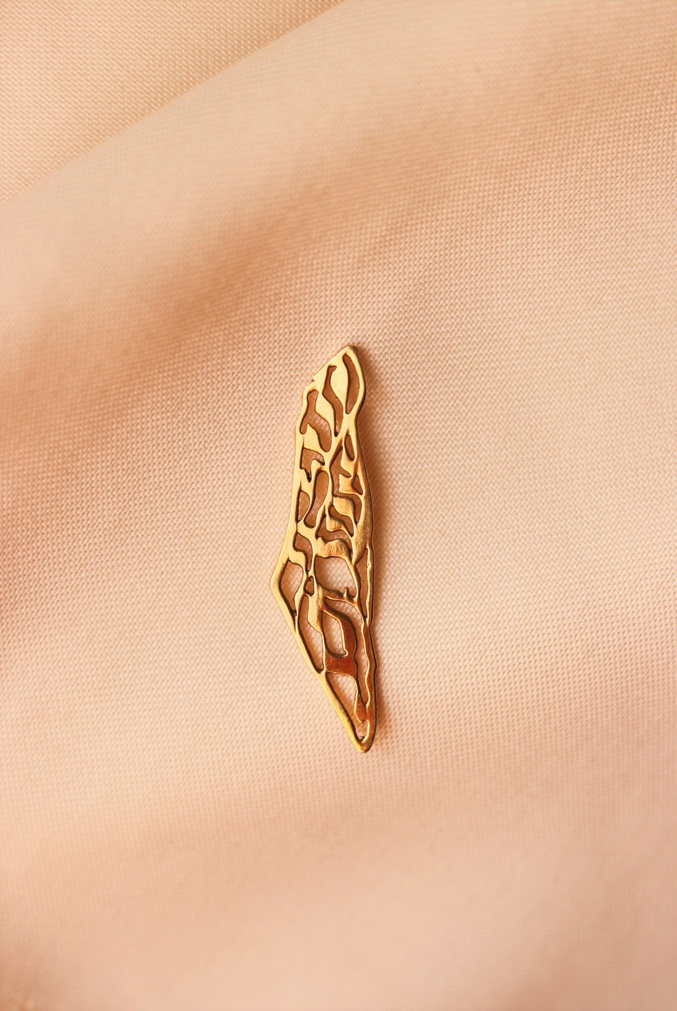 Palestine map with olive leaves pattern pin