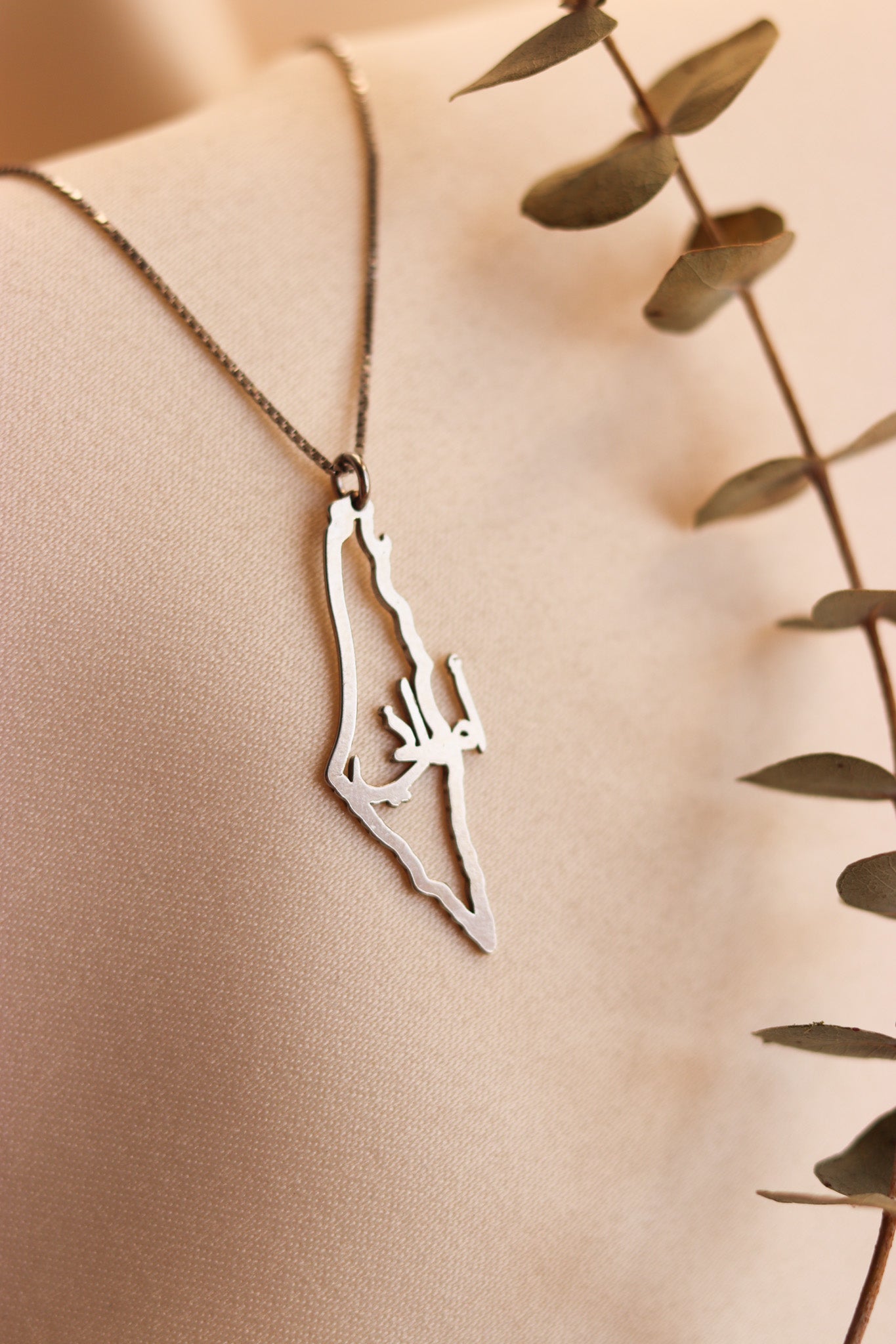 Palestine frame map with horizontal custom Arabic name necklace اسمك فلسطيني