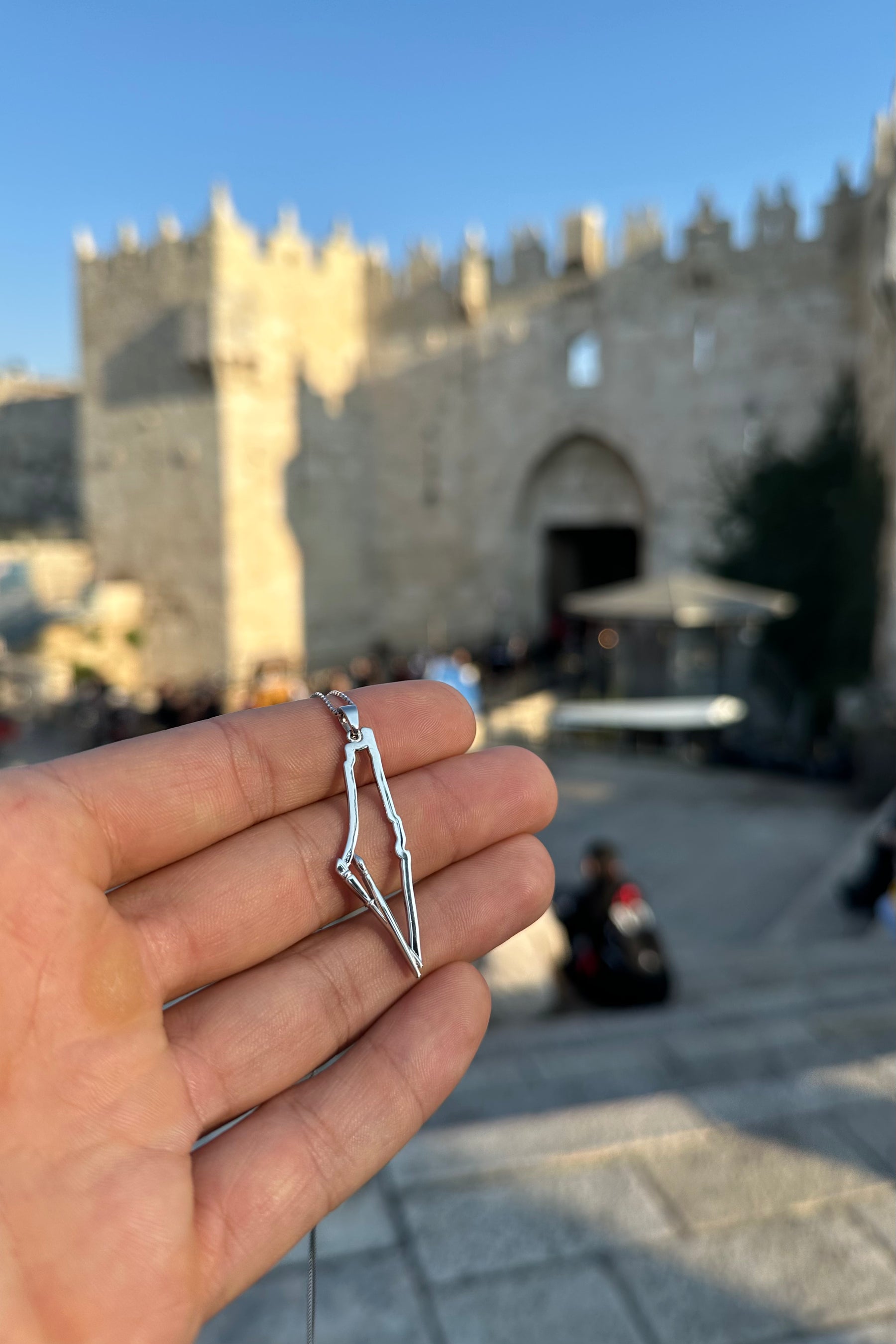 Palestinian Artist