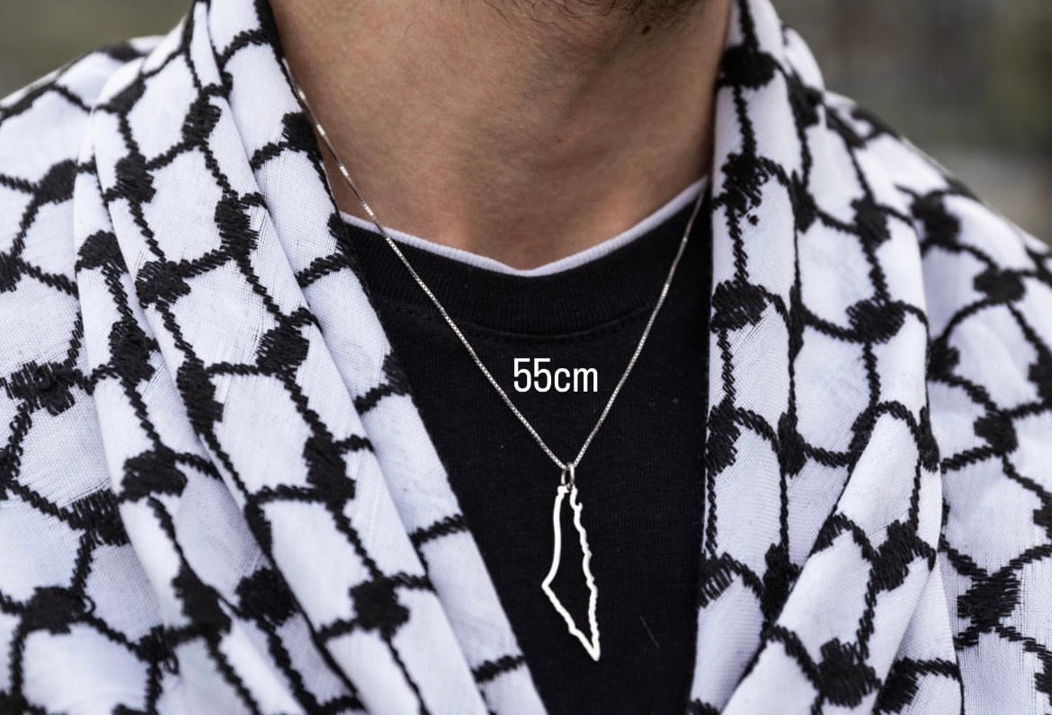سنسال ايطار خارطة فلسطين