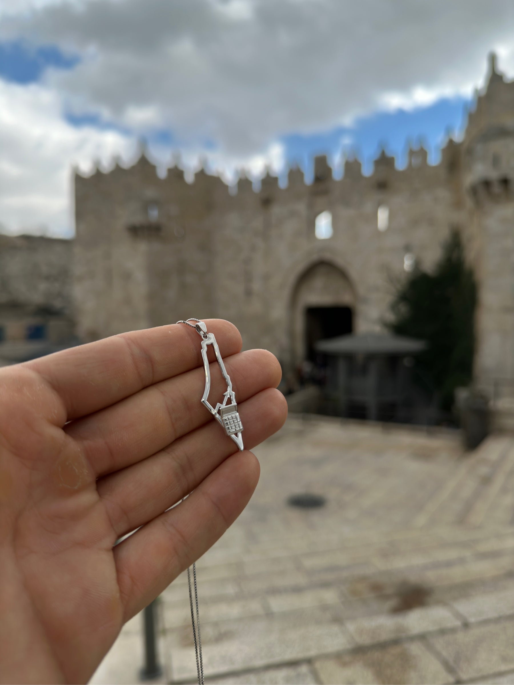 Palestinian Accountant