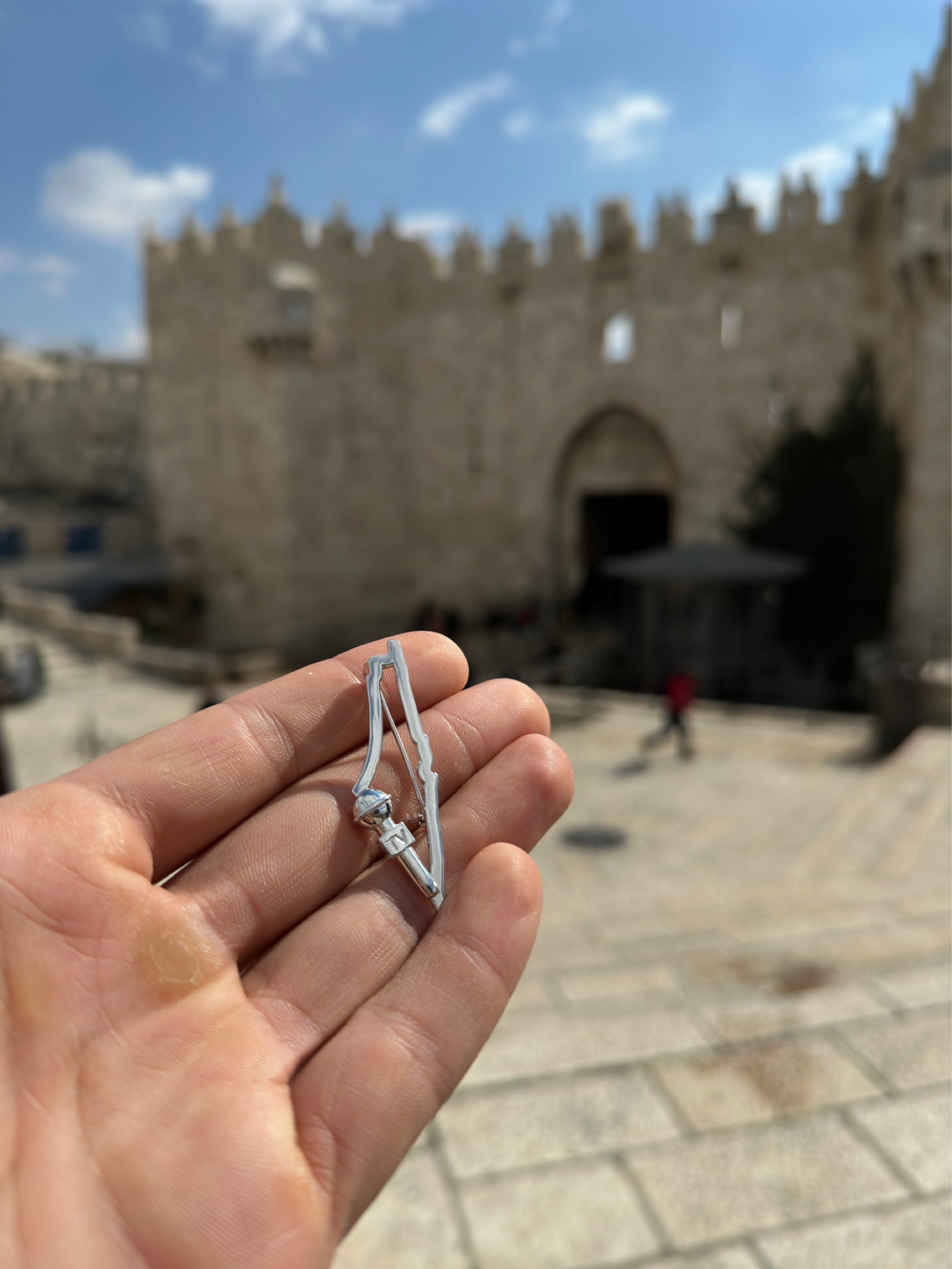 Palestinian Journalist
