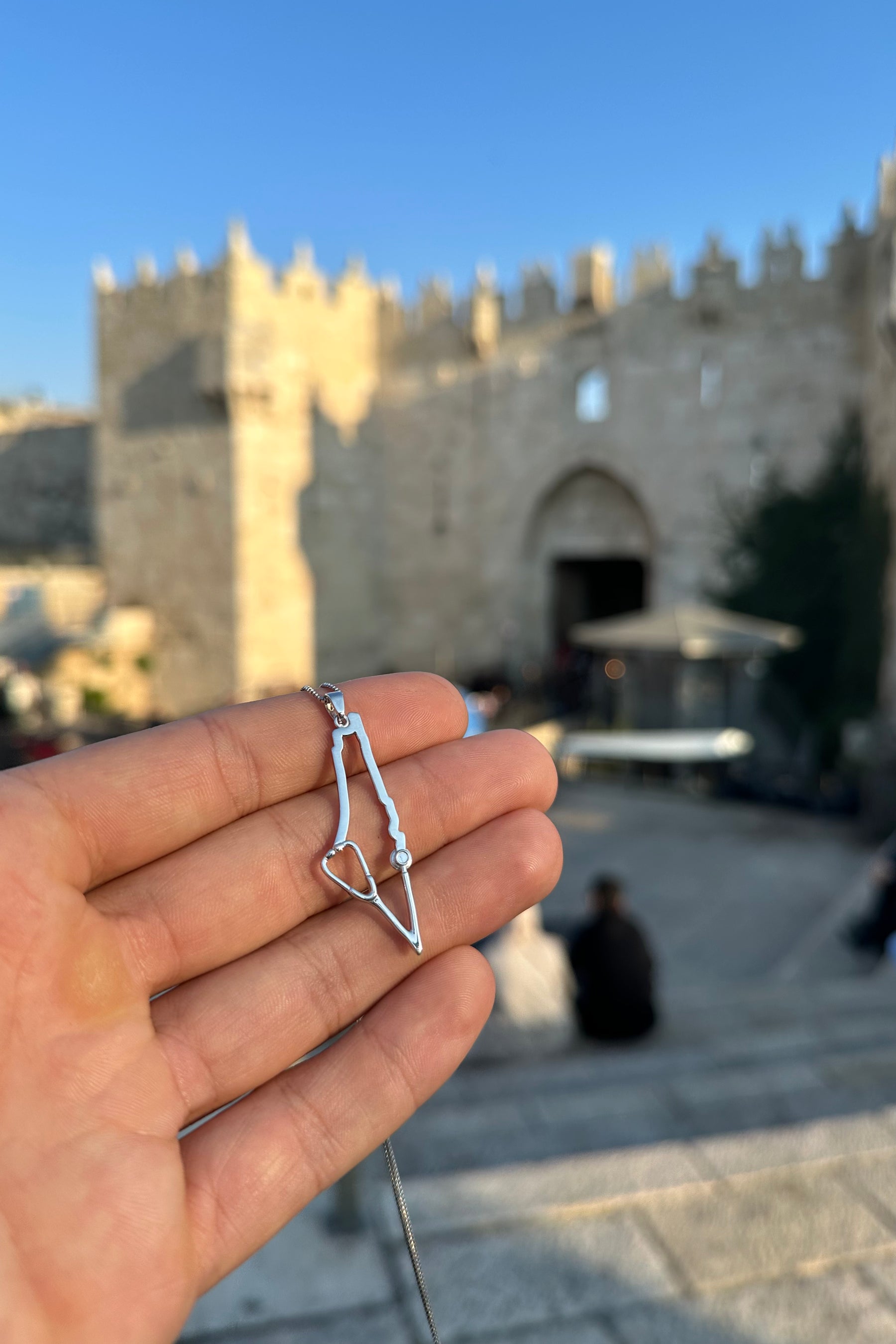 Palestinian Doctor