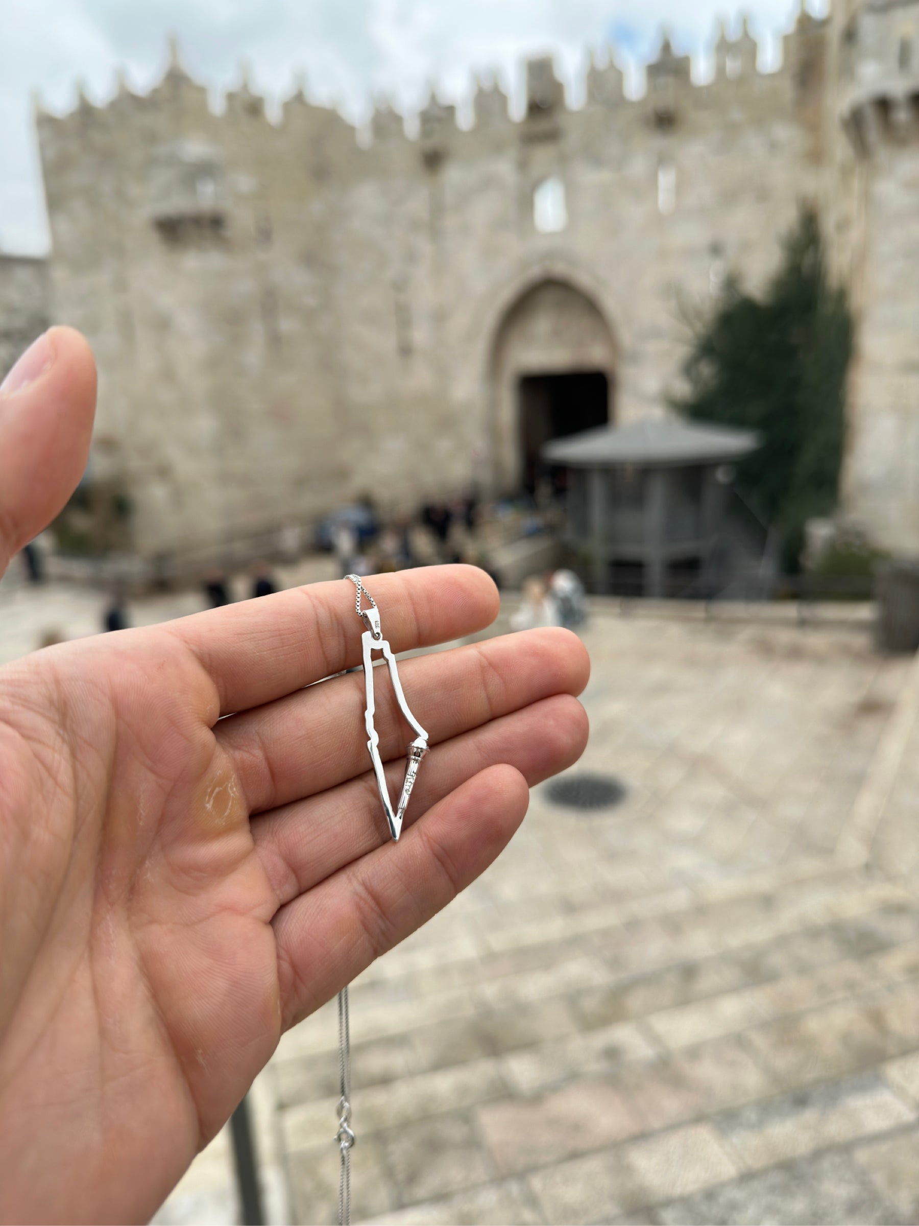 Palestinian Rapper