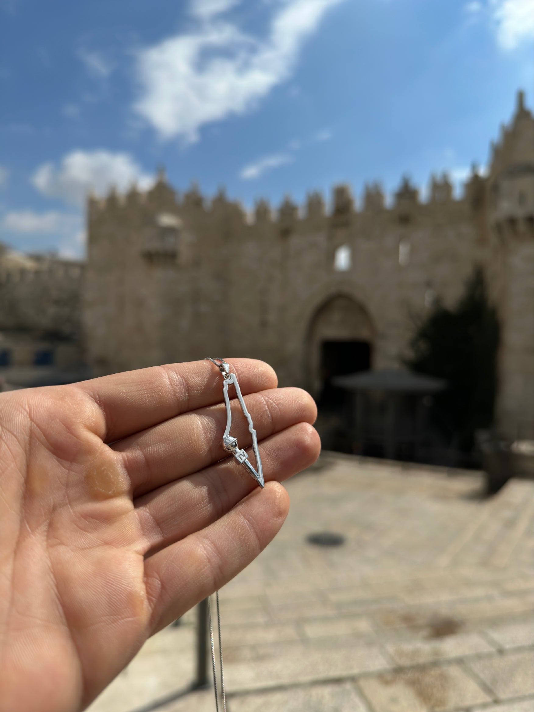 Palestinian Journalist
