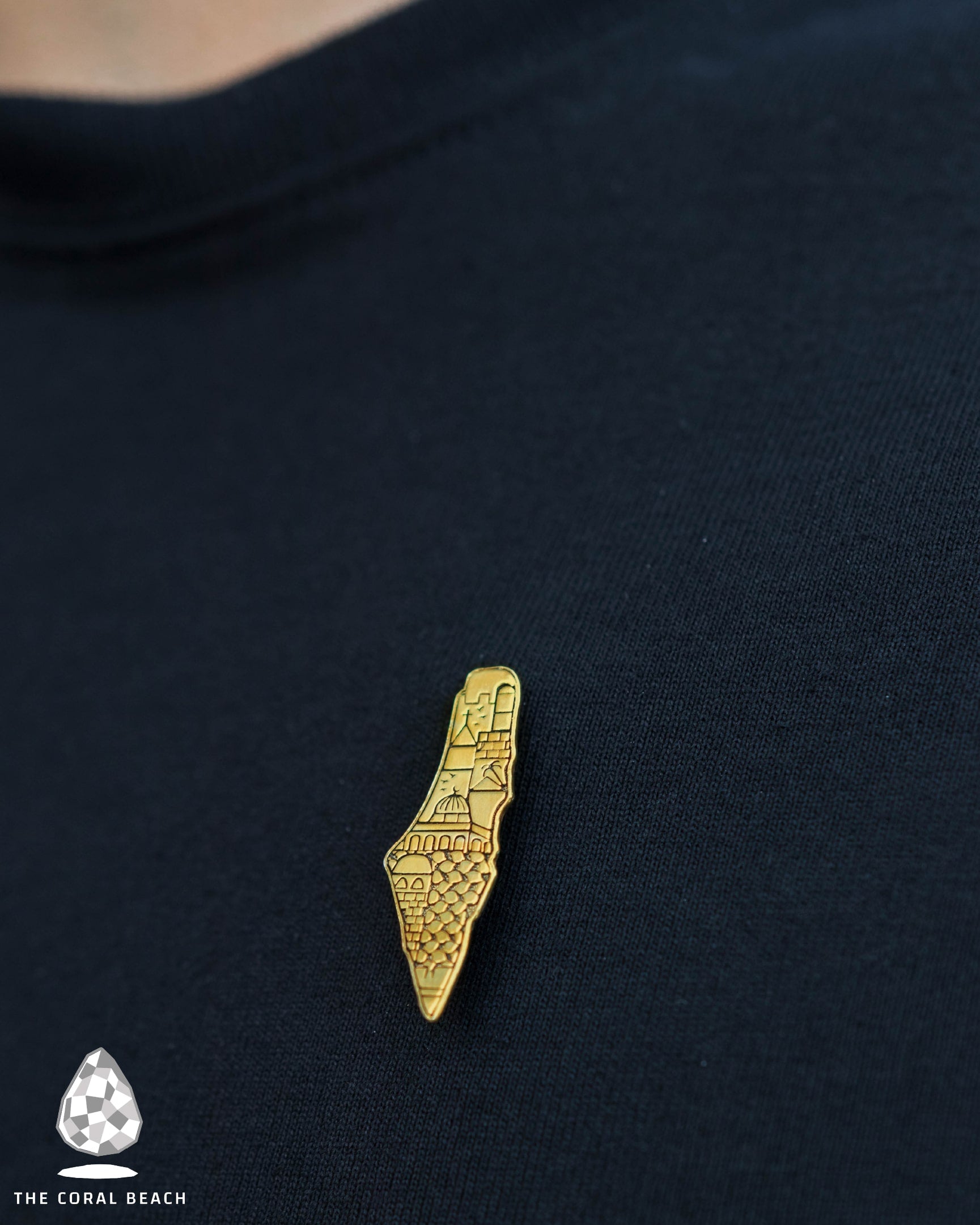 Palestine map with old city and Hatta pattern engraved inside pin