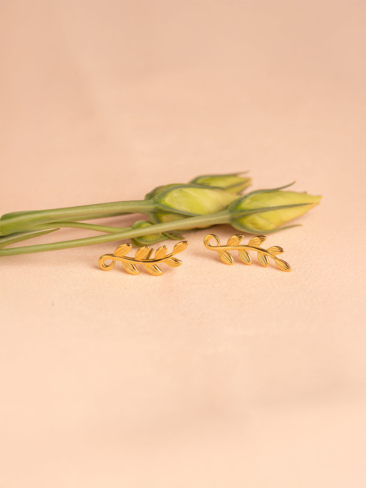 Olive branch stud earrings