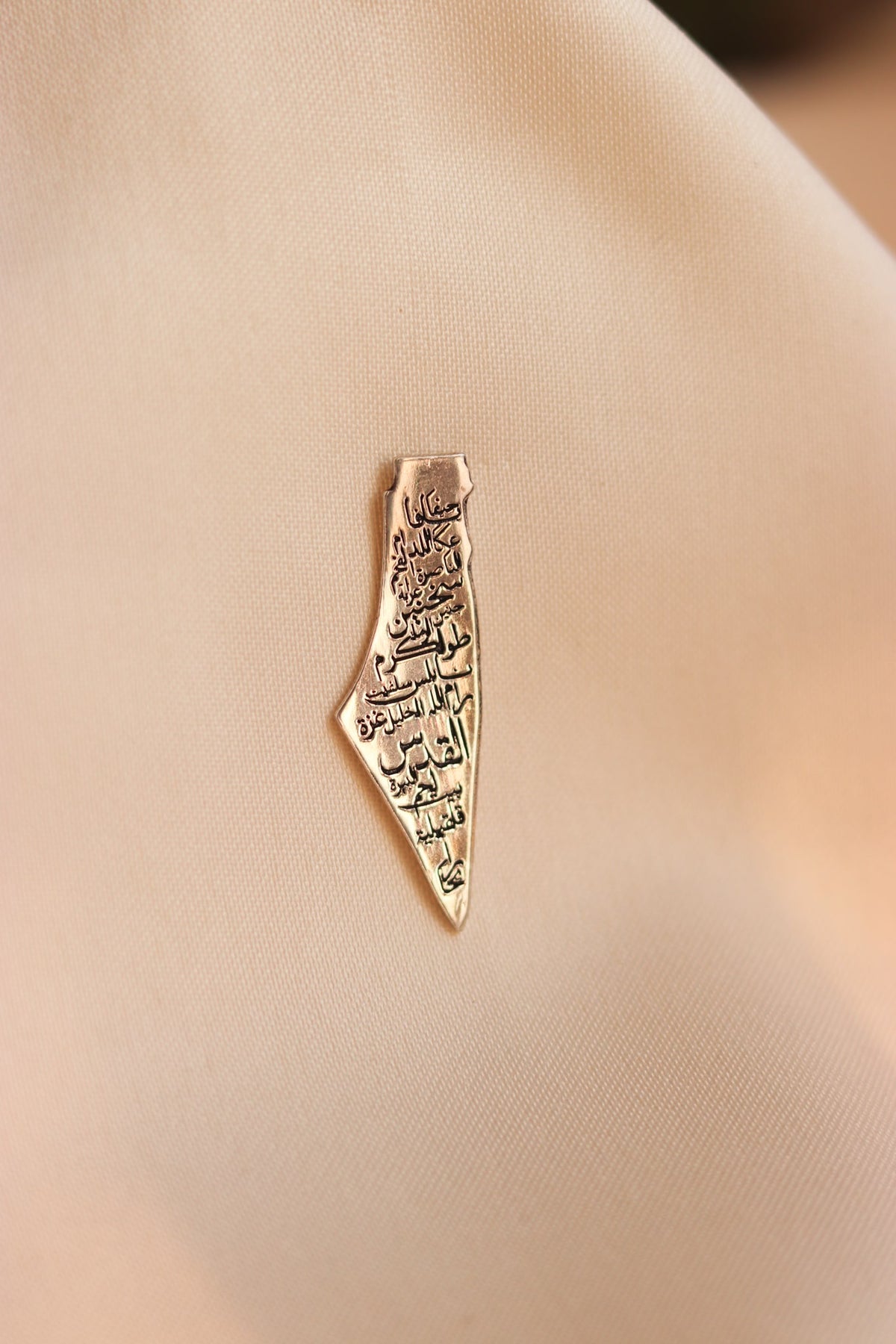 Palestine map with Palestine cities written inside in Arabic pin