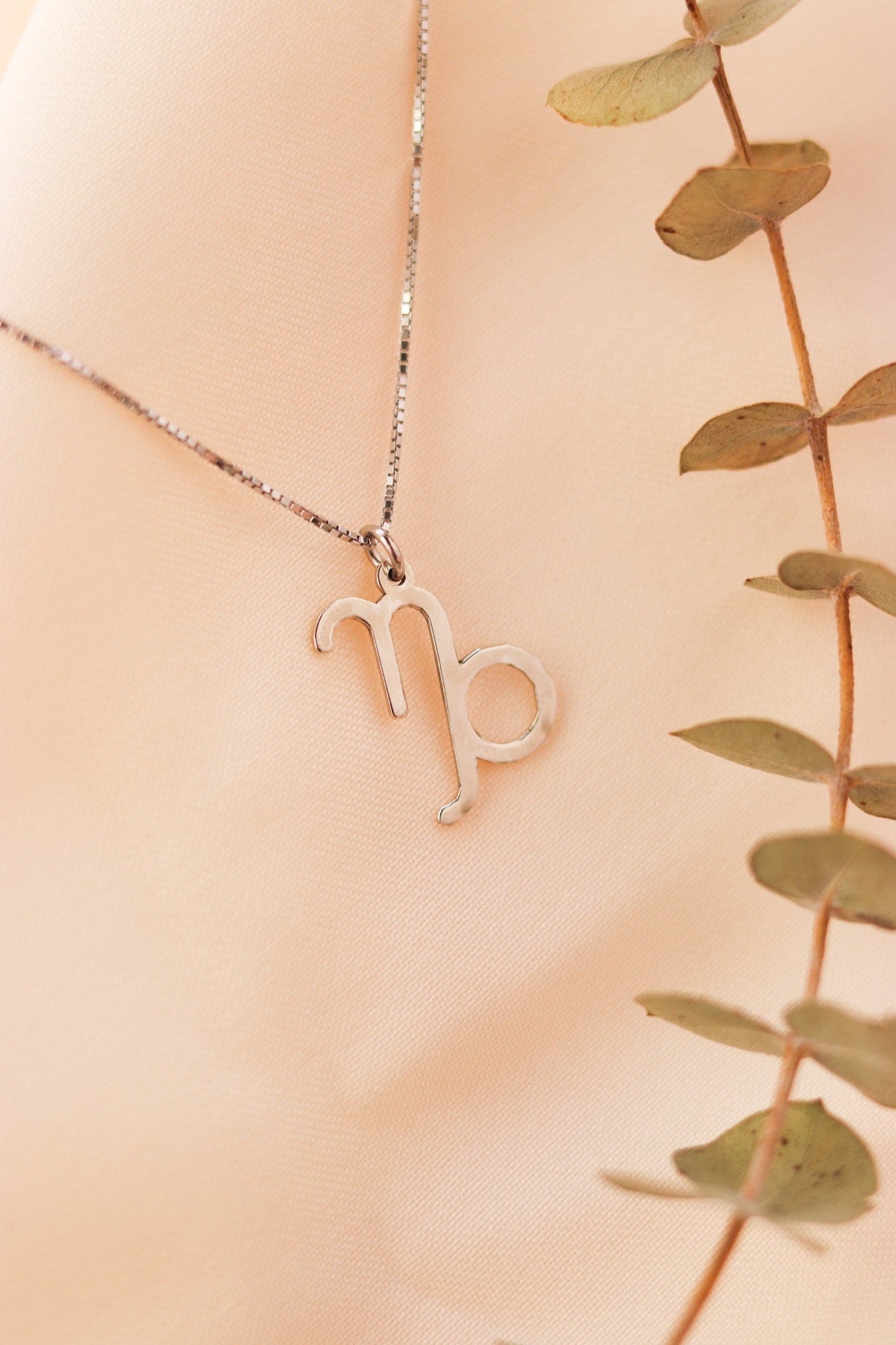 Horoscope necklace