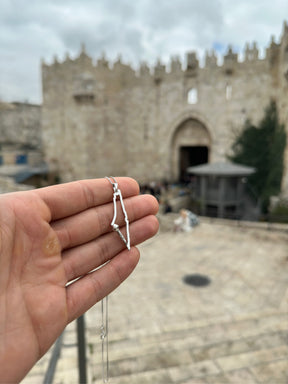 Palestinian Rapper